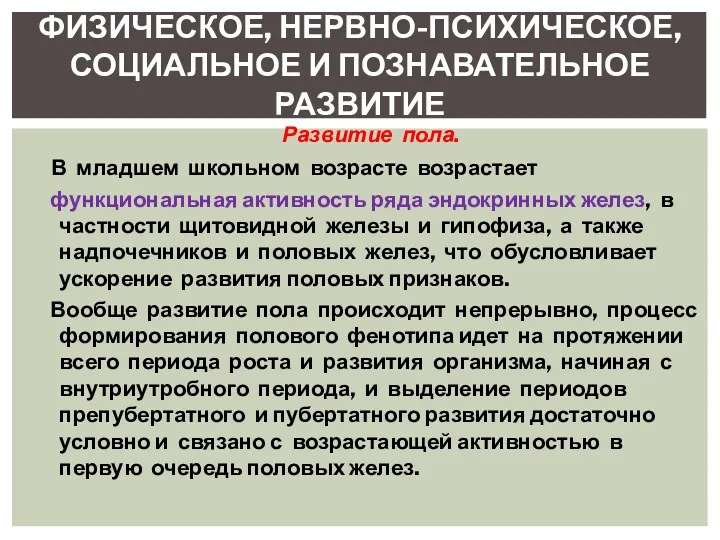 Развитие пола. В младшем школьном возрасте возрастает функциональная активность ряда