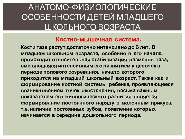 Костно-мышечная система. Кости таза растут достаточно интенсивно до 6 лет.