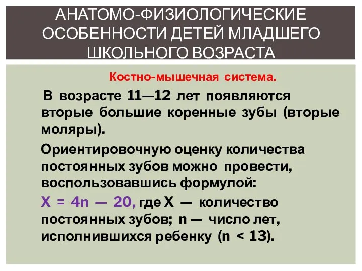 Костно-мышечная система. В возрасте 11—12 лет появляются вторые большие коренные