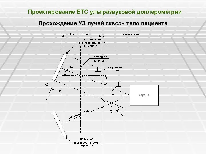 Проектирование БТС ультразвуковой доплерометрии Прохождение УЗ лучей сквозь тело пациента