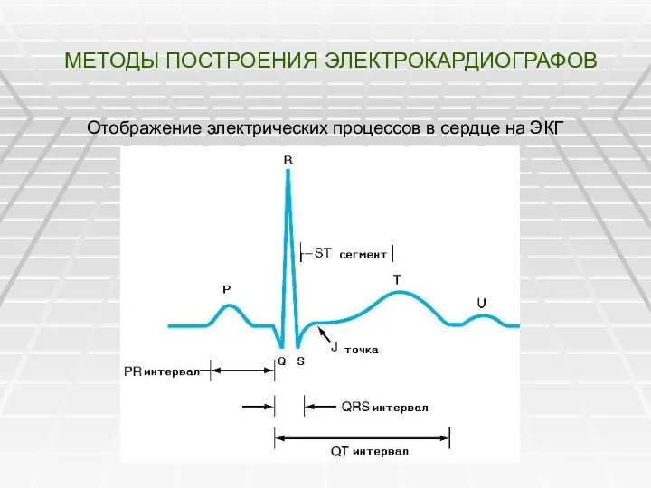 МЕТОДЫ ПОСТРОЕНИЯ ЭЛЕКТРОКАРДИОГРАФОВ Отображение электрических процессов в сердце на ЭКГ