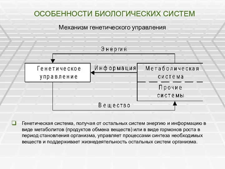 ОСОБЕННОСТИ БИОЛОГИЧЕСКИХ СИСТЕМ Механизм генетического управления Генетическая система, получая от