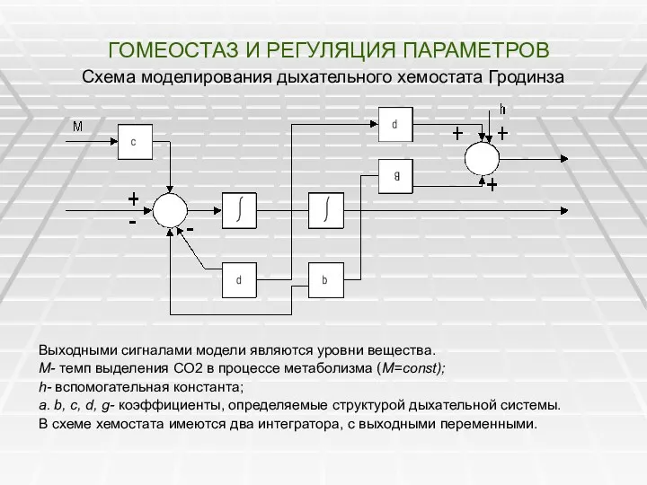 ГОМЕОСТАЗ И РЕГУЛЯЦИЯ ПАРАМЕТРОВ Схема моделирования дыхательного хемостата Гродинза Выходными