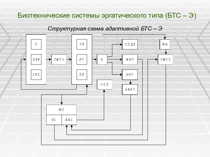 Биотехнические системы эргатического типа (БТС – Э) Структурная схема адаптивной БТС – Э