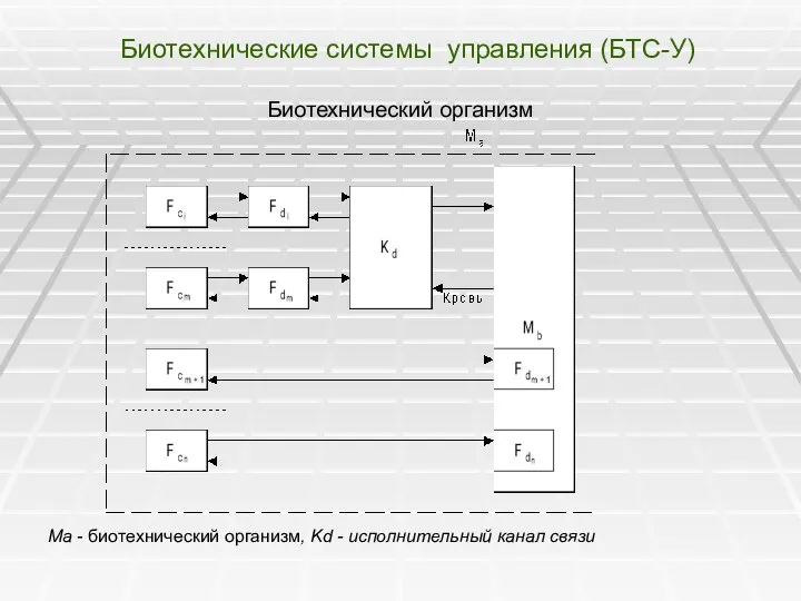 Биотехнические системы управления (БТС-У) Биотехнический организм Ма - биотехнический организм, Kd - исполнительный канал связи