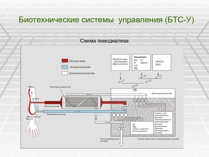 Биотехнические системы управления (БТС-У) Схема гемодиализа