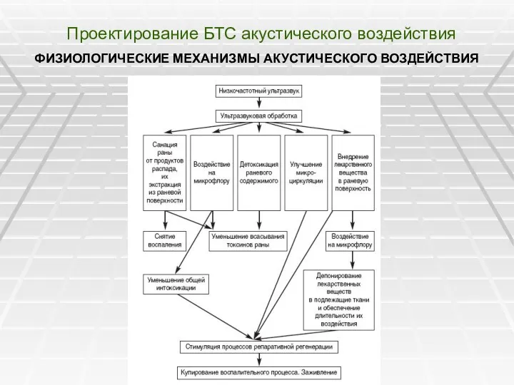 Проектирование БТС акустического воздействия ФИЗИОЛОГИЧЕСКИЕ МЕХАНИЗМЫ АКУСТИЧЕСКОГО ВОЗДЕЙСТВИЯ