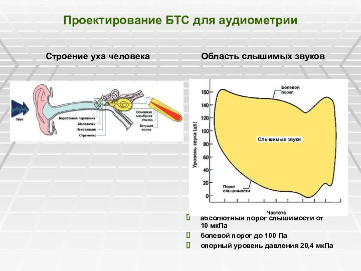 Проектирование БТС для аудиометрии Строение уха человека Область слышимых звуков