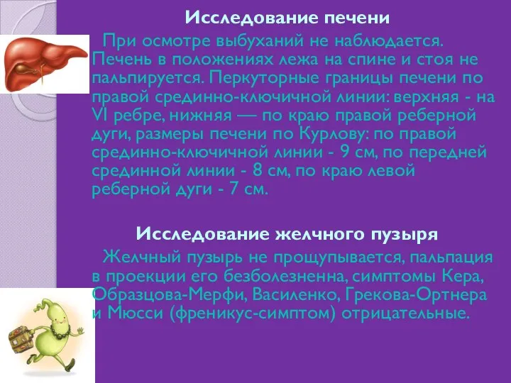 Исследование печени При осмотре выбуханий не наблюдается. Печень в положениях