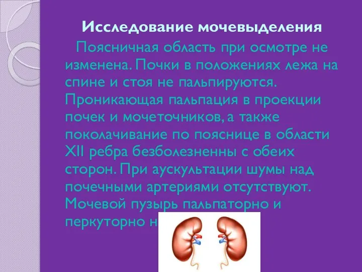 Исследование мочевыделения Поясничная область при осмотре не изменена. Почки в