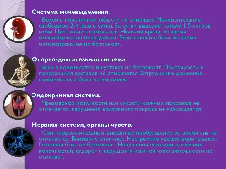 Система мочевыделения. Болей в поясничной области не отмечает. Мочеиспускание свободное,