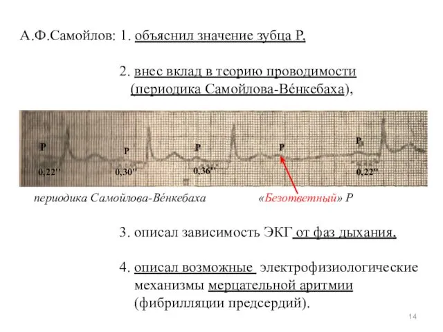 А.Ф.Самойлов: 1. объяснил значение зубца P, 2. внес вклад в