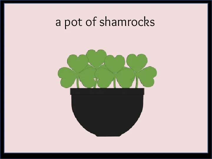 a pot of shamrocks