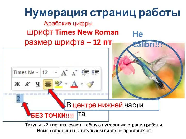 Нумерация страниц работы Арабские цифры шрифт Times New Roman размер