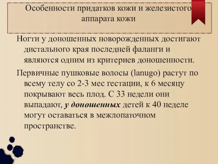 Особенности придатков кожи и железистого аппарата кожи Ногти у доношенных новорожденных достигают дистального