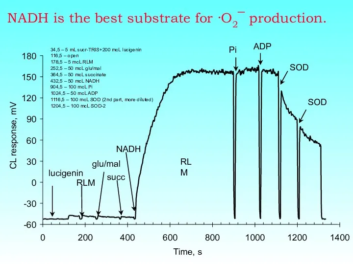NADH is the best substrate for ·O2¯ production.