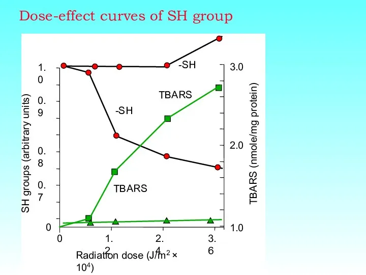 Dose-effect curves of SH group