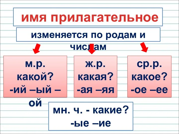 имя прилагательное изменяется по родам и числам м.р. какой? -ий –ый –ой ж.р.