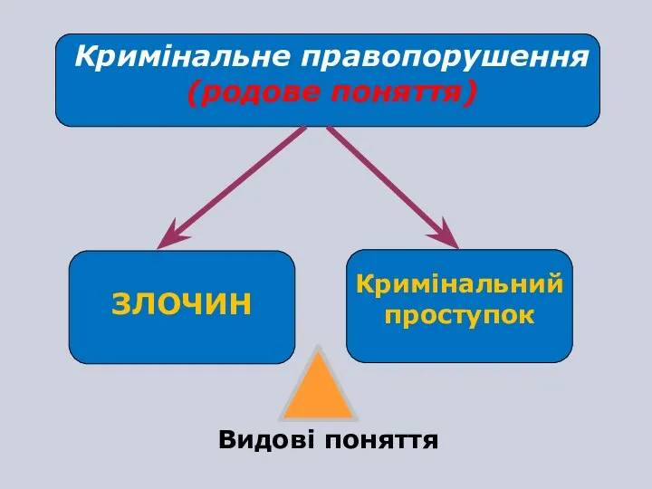 Кримінальне правопорушення (родове поняття) ЗЛОЧИН Кримінальний проступок Видові поняття