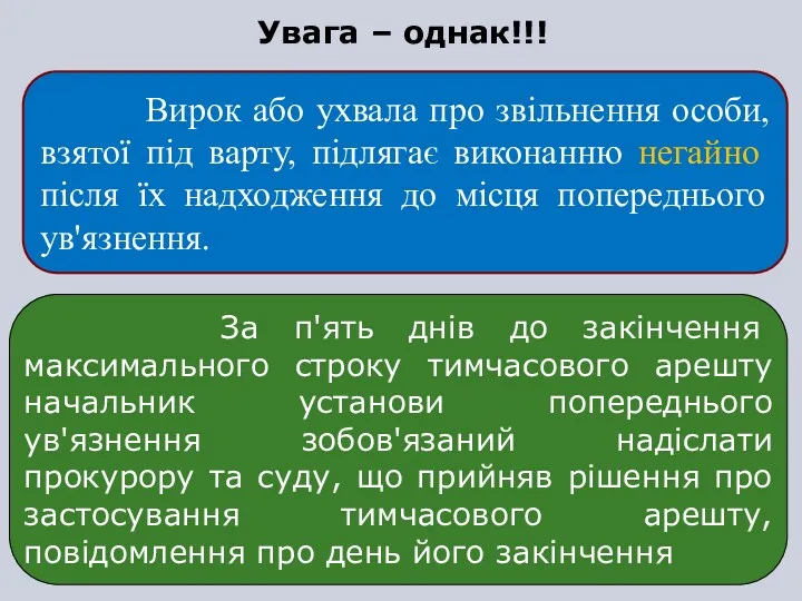 Вирок або ухвала про звільнення особи, взятої під варту, підлягає