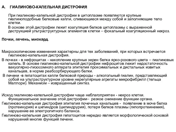 А. ГИАЛИНОВО-КАПЕЛЬНАЯ ДИСТРОФИЯ При гиалиново-капельной дистрофии в цитоплазме появляются крупные