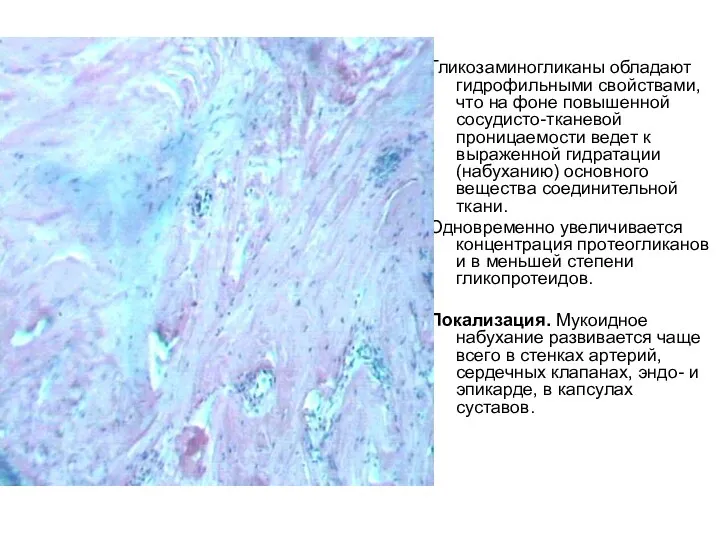 Гликозаминогликаны обладают гидрофильными свойствами, что на фоне повышенной сосудисто-тканевой проницаемости ведет к выраженной
