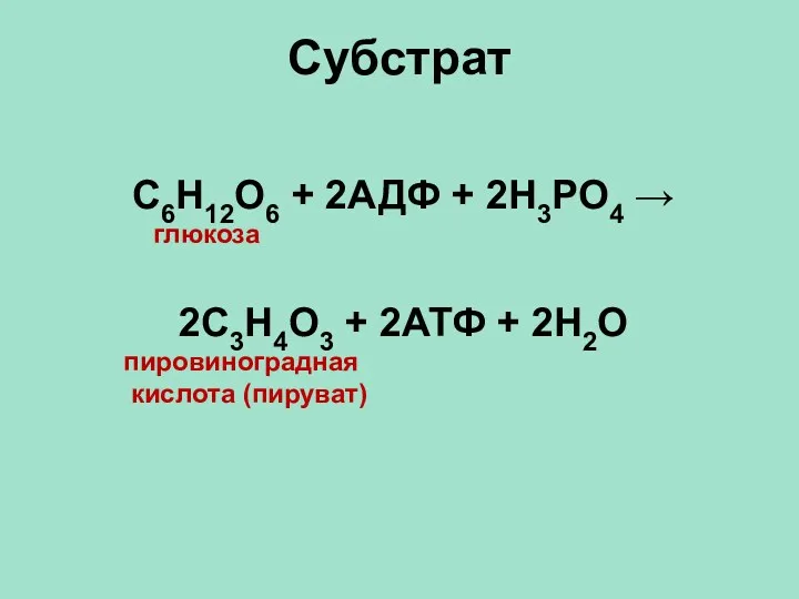 Субстрат С6Н12О6 + 2АДФ + 2Н3РО4 → глюкоза 2С3Н4О3 + 2АТФ + 2Н2О пировиноградная кислота (пируват)