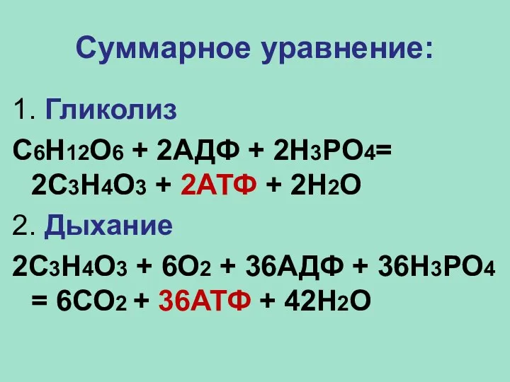 Суммарное уравнение: 1. Гликолиз С6Н12О6 + 2АДФ + 2Н3РО4= 2С3Н4О3
