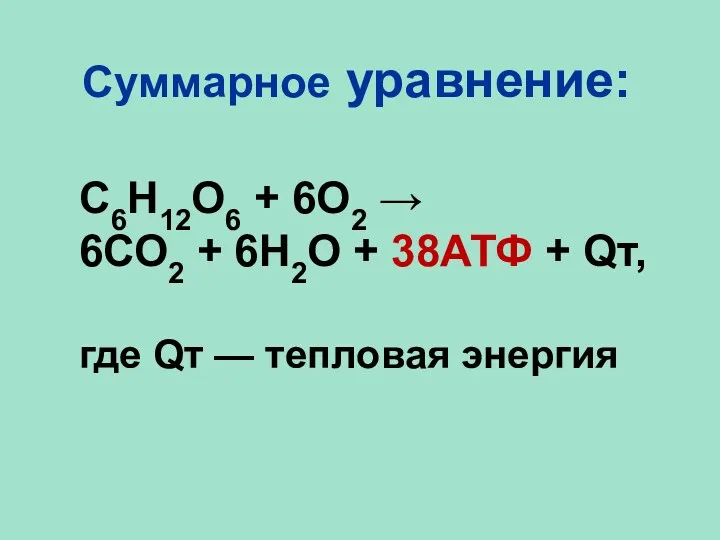 Суммарное уравнение: С6Н12О6 + 6О2 → 6СО2 + 6Н2О + 38АТФ + Qт,