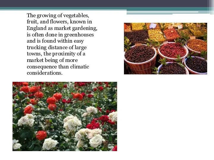 The growing of vegetables, fruit, and flowers, known in England as market gardening,