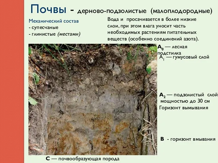 Почвы - дерново-подзолистые (малоплодородные) Механический состав - супесчаные - глинистые