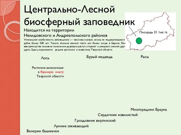 Центрально-Лесной биосферный заповедник Находится на территории Нелидовского и Андреапольского районов