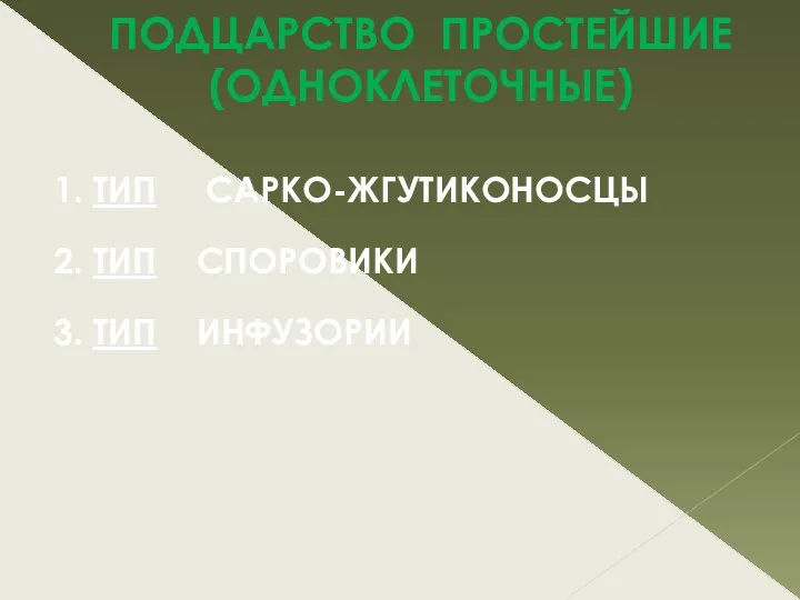 ПОДЦАРСТВО ПРОСТЕЙШИЕ (ОДНОКЛЕТОЧНЫЕ) 1. ТИП САРКО-ЖГУТИКОНОСЦЫ 2. ТИП СПОРОВИКИ 3. ТИП ИНФУЗОРИИ