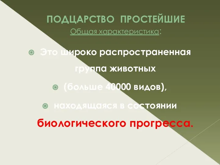 ПОДЦАРСТВО ПРОСТЕЙШИЕ Общая характеристика: Это широко распространенная группа животных (больше