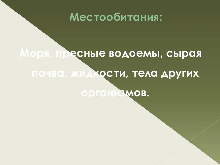 Местообитания: Моря, пресные водоемы, сырая почва, жидкости, тела других организмов.