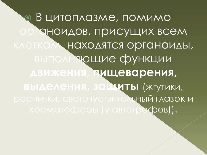 В цитоплазме, помимо органоидов, присущих всем клеткам, находятся органоиды, выполняющие