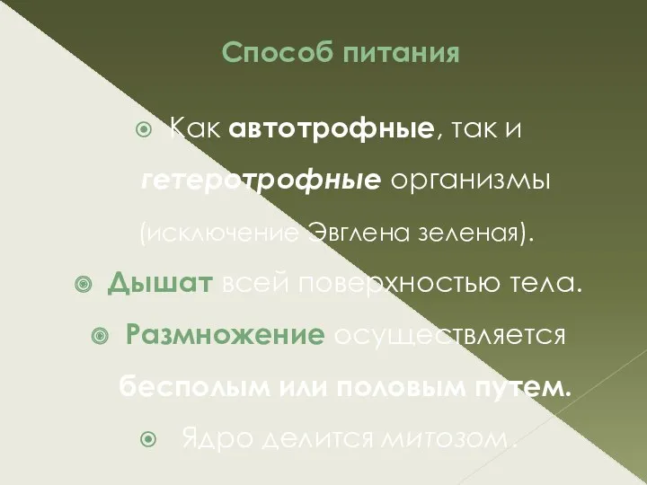 Способ питания Как автотрофные, так и гетеротрофные организмы (исключение Эвглена