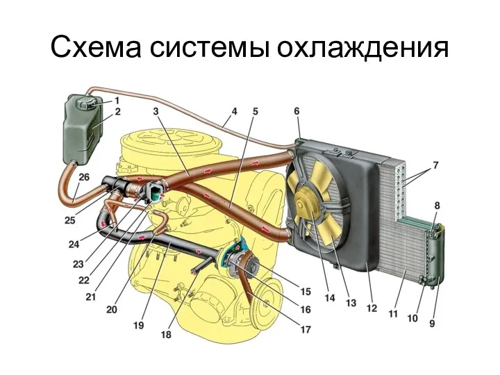 Схема системы охлаждения