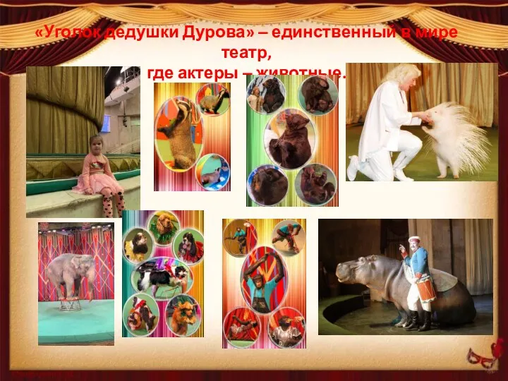 «Уголок дедушки Дурова» ‒ единственный в мире театр, где актеры ‒ животные.
