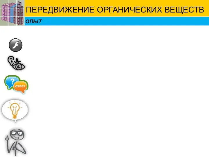 ОПЫТ ПЕРЕДВИЖЕНИЕ ОРГАНИЧЕСКИХ ВЕЩЕСТВ