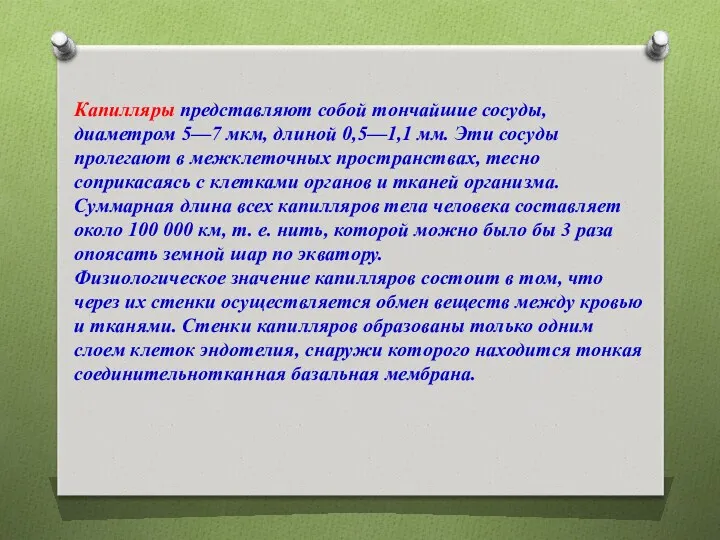 Капилляры представляют собой тончайшие сосуды, диаметром 5—7 мкм, длиной 0,5—1,1