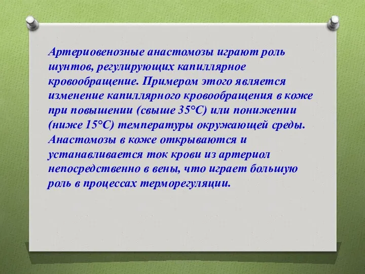 Артериовенозные анастомозы играют роль шунтов, регулирующих капиллярное кровообращение. Примером этого