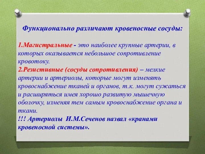 Функционально различают кровеносные сосуды: 1.Магистральные - это наиболее крупные артерии,