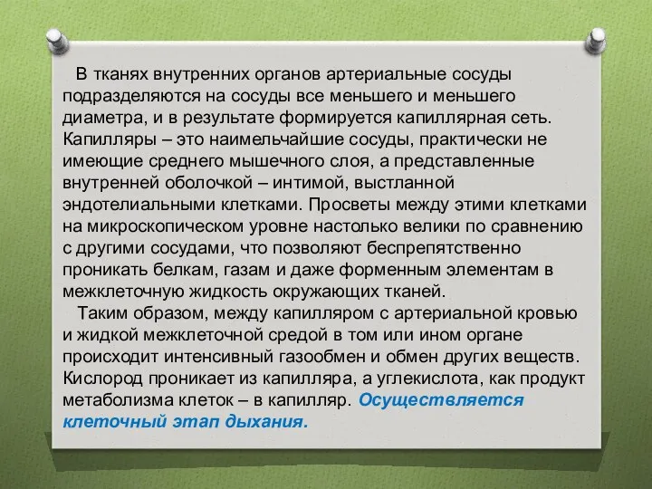 В тканях внутренних органов артериальные сосуды подразделяются на сосуды все