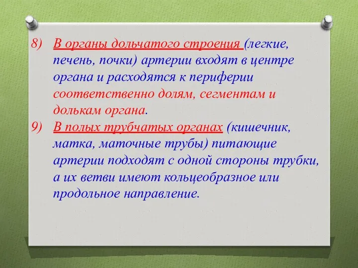 В органы дольчатого строения (легкие, печень, почки) артерии входят в