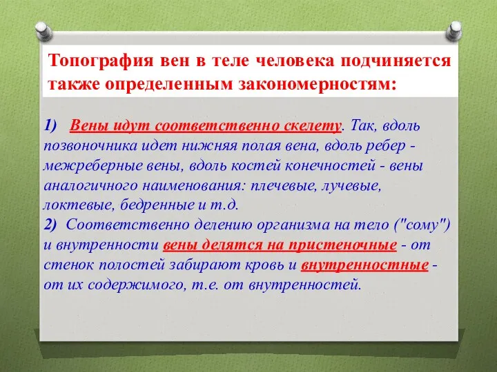 1) Вены идут соответственно скелету. Так, вдоль позвоночника идет нижняя