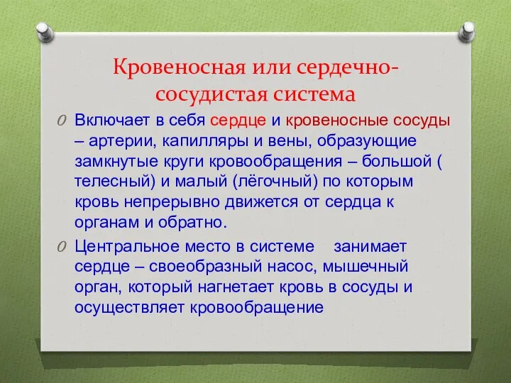 Кровеносная или сердечно-сосудистая система Включает в себя сердце и кровеносные