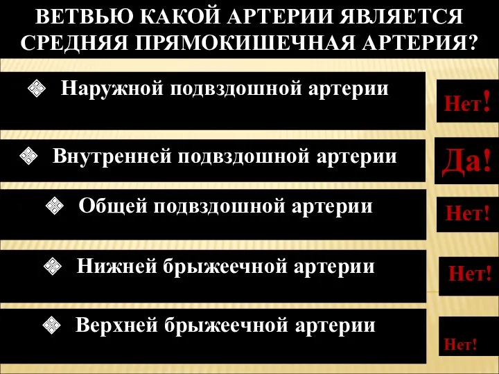 Нет! ВЕТВЬЮ КАКОЙ АРТЕРИИ ЯВЛЯЕТСЯ СРЕДНЯЯ ПРЯМОКИШЕЧНАЯ АРТЕРИЯ? Верхней брыжеечной