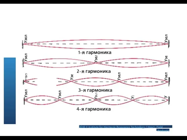 1-я гармоника с; а> СП 2-я гармоника 3-я гармоника 5