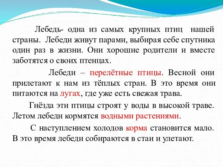 Лебедь- одна из самых крупных птиц нашей страны. Лебеди живут парами, выбирая себе